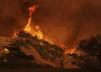 Nature and Education Burned: LA Schools and Parks in Crisis - AP Photo/Jae C. Hong