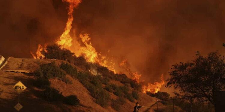 Nature and Education Burned: LA Schools and Parks in Crisis - AP Photo/Jae C. Hong