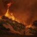 Nature and Education Burned: LA Schools and Parks in Crisis - AP Photo/Jae C. Hong