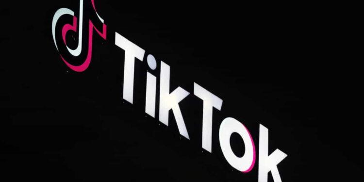 Trump Takes Charge of TikTok’s U.S. Future After Biden’s Inaction - AP Photo/Richard Vogel, File