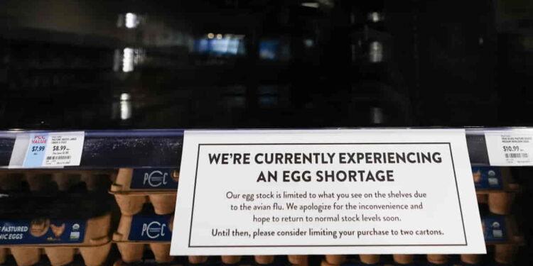 Egg Prices More Than Double: What’s Behind the Surge? - Lindsey Wasson/AP Photo
