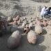 New Archaeological Discoveries Shed Light on Ancient Egyptian History in Luxor - AP Photo/Khaled Elfiqi