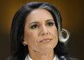 What Tulsi Gabbard Really Thinks About Trump, Ukraine, and Surveillance - John Mcdonnell/AP Photo