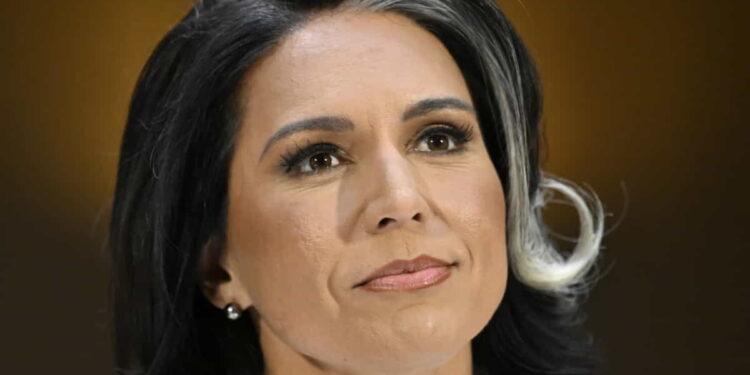 What Tulsi Gabbard Really Thinks About Trump, Ukraine, and Surveillance - John Mcdonnell/AP Photo