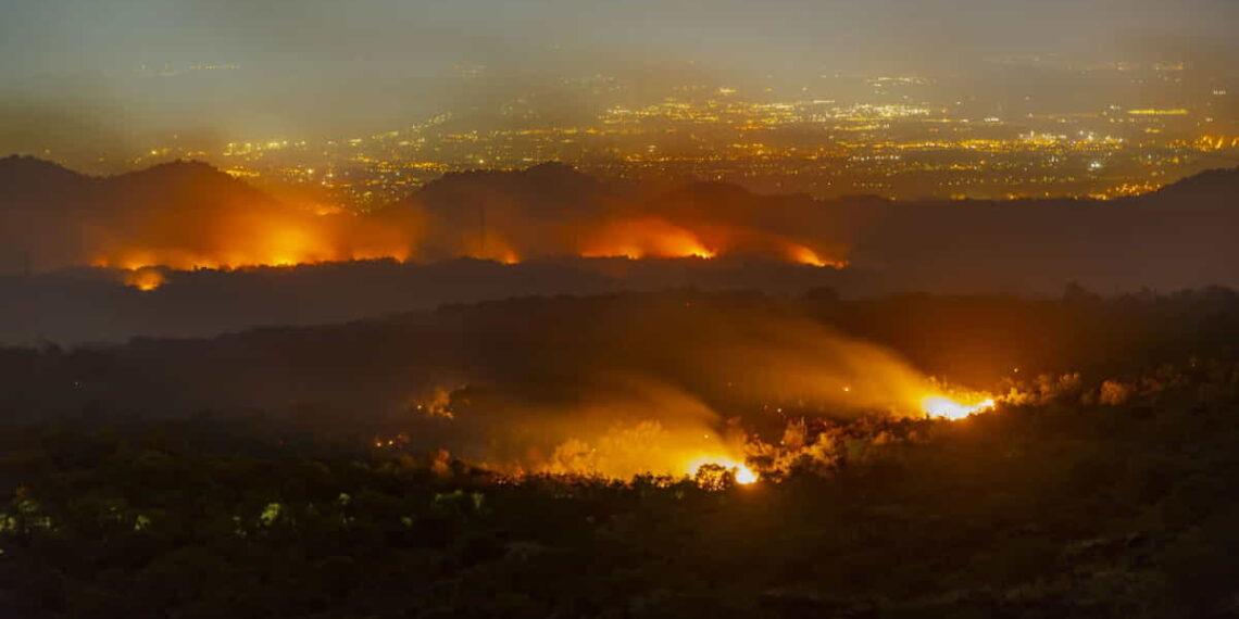 Climate Crisis and Crime: The Mafia’s Growing Influence Over Wildfires - Salvatore Allegra/Anadolu Agency/Getty Images