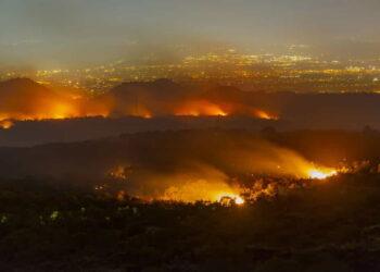 Climate Crisis and Crime: The Mafia’s Growing Influence Over Wildfires - Salvatore Allegra/Anadolu Agency/Getty Images
