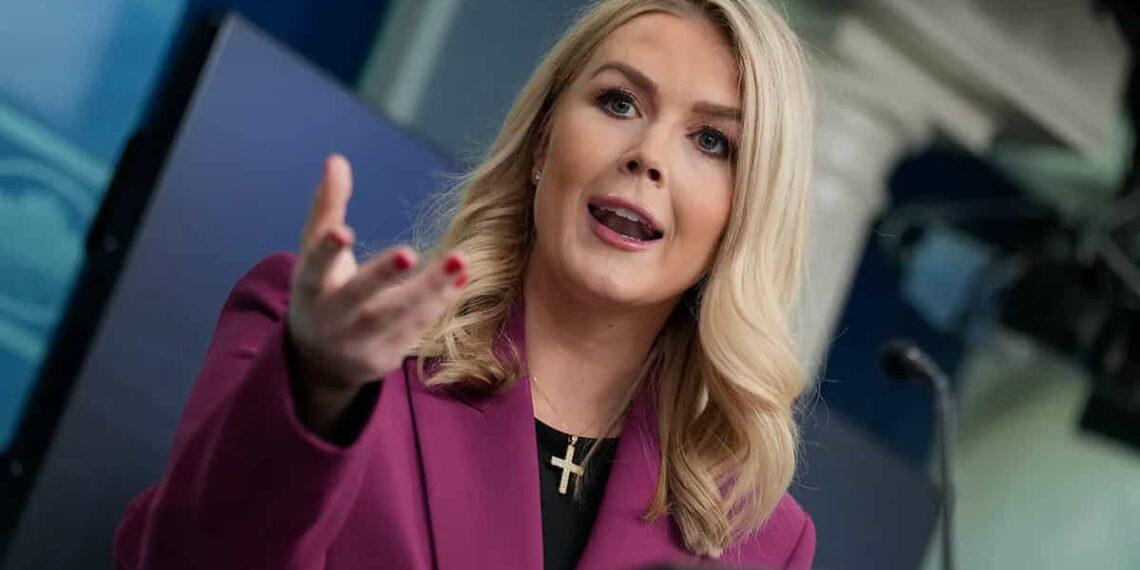 White House Stands by ICE Arrests: ‘They Are All Criminals’ - Ben Curtis/AP Photo