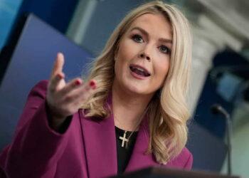 White House Stands by ICE Arrests: ‘They Are All Criminals’ - Ben Curtis/AP Photo