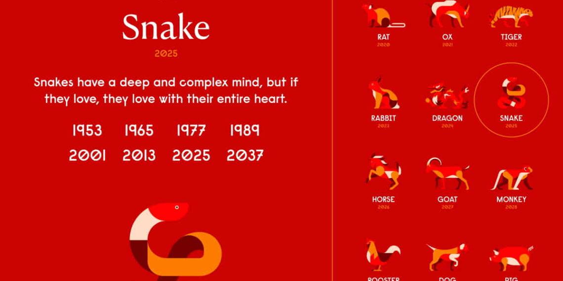 Zodiac Forecast 2025: What the Year of the Snake Has in Store for You - chinesenewyear/Photo