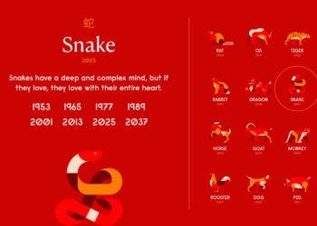 Zodiac Forecast 2025: What the Year of the Snake Has in Store for You - chinesenewyear/Photo