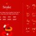 Zodiac Forecast 2025: What the Year of the Snake Has in Store for You - chinesenewyear/Photo