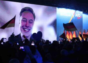 AfD's New Strategy: Aligning with Trump and Musk for Power - Sean Gallup/Getty Images