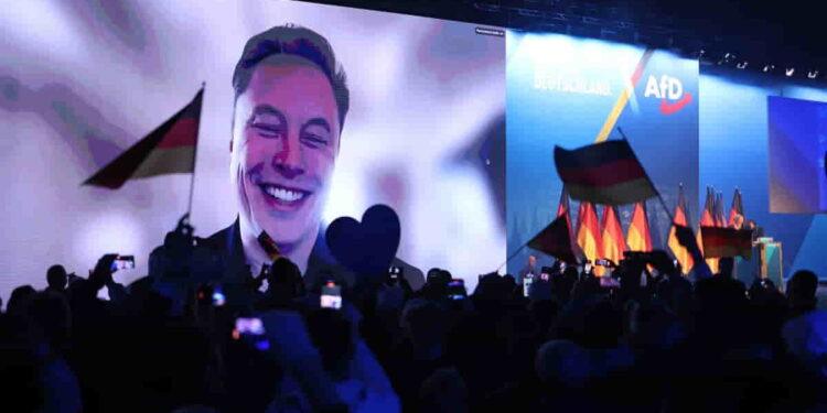AfD's New Strategy: Aligning with Trump and Musk for Power - Sean Gallup/Getty Images
