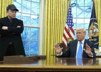 Elon Musk Acknowledges Errors in His Push for Government Reform - Alex Brandon/AP Photo