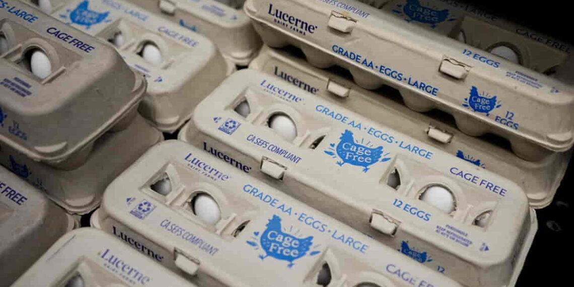 100,000 Eggs Stolen from Truck—Investigators Stumped - Lindsey Wasson/AP Photo