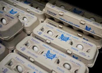 100,000 Eggs Stolen from Truck—Investigators Stumped - Lindsey Wasson/AP Photo