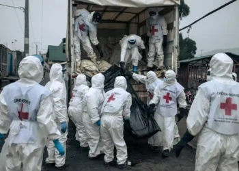 How Your Smartphone is Connected to Deadly Conflicts in the DRC