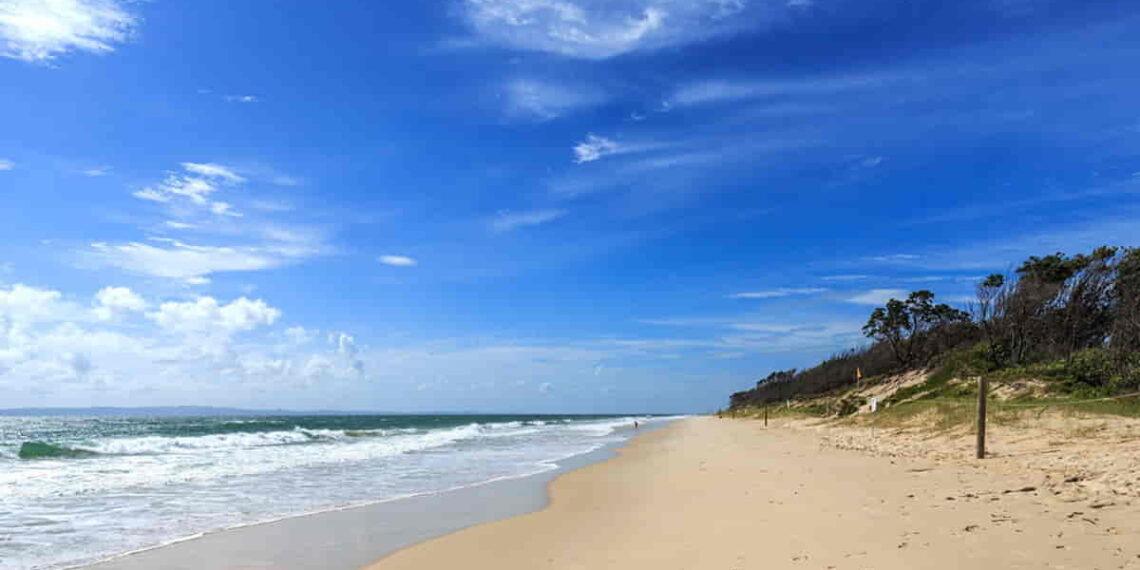 Shark Attack at Woorim Beach Leaves Teenager Dead - Ribeiroantonio/iStockphoto/Getty Images