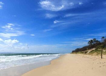 Shark Attack at Woorim Beach Leaves Teenager Dead - Ribeiroantonio/iStockphoto/Getty Images
