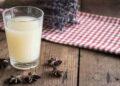 Why Pastis Is France’s Most Popular Aperitif - Alamy Photo via BBC