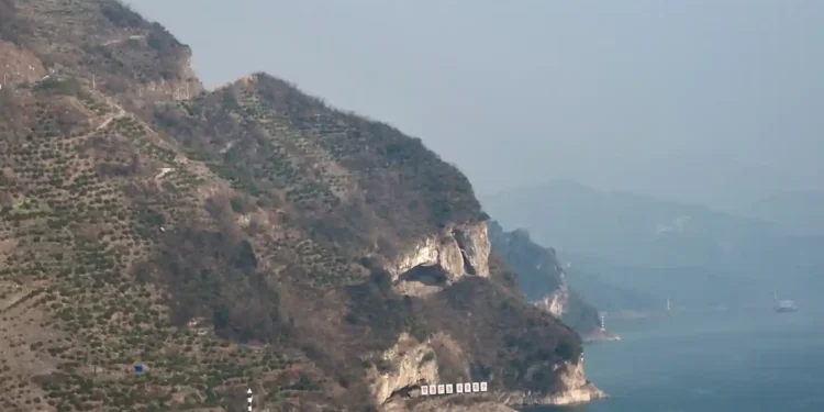 Puppy Mountain: The Internet’s New Favorite Travel Spot - Guo Qingshan/AP Photo