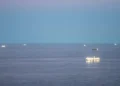 Chinese Fishing Fleet Near Argentina Raises Alarms Over Overfishing and Illicit Practices - Argentine Defense Ministry