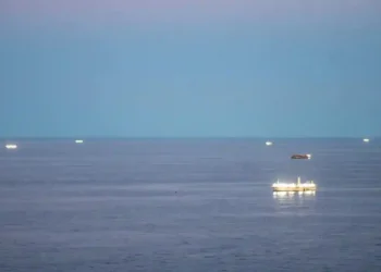 Chinese Fishing Fleet Near Argentina Raises Alarms Over Overfishing and Illicit Practices - Argentine Defense Ministry