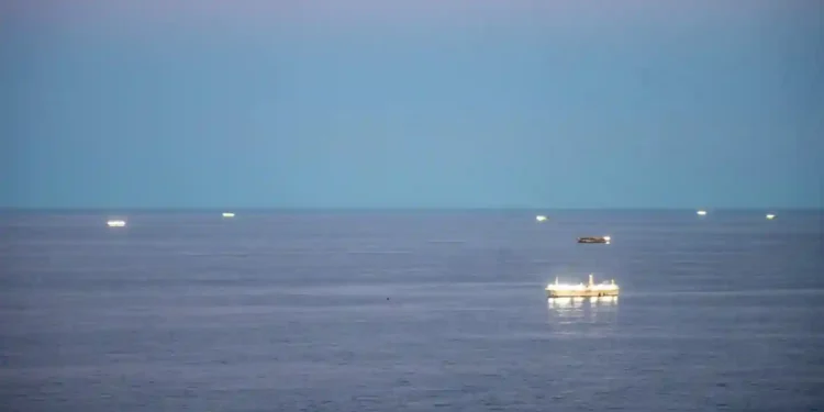 Chinese Fishing Fleet Near Argentina Raises Alarms Over Overfishing and Illicit Practices - Argentine Defense Ministry