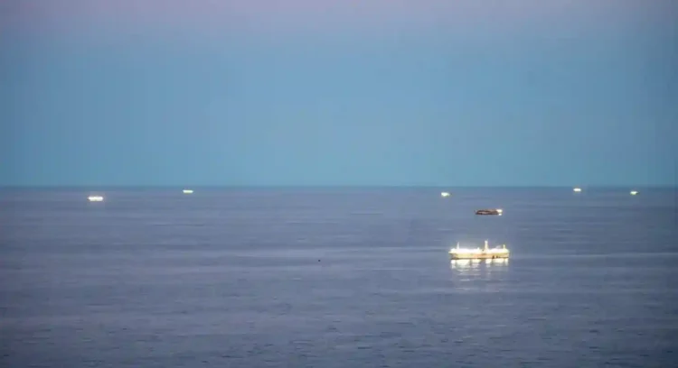 Chinese Fishing Fleet Near Argentina Raises Alarms Over Overfishing and Illicit Practices - Argentine Defense Ministry