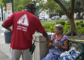 Climate Warning: UN Confirms Rising Temperatures and Extreme Weather - Lynne Sladky/AP Photo