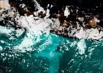 The Secrets Behind Milky Seas: Why Do Oceans Glow Brightly? - Steven Miller via CNN