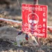 Ronin the Rat Sets a New World Record for Detecting Landmines - Handout/AFP/APOPO/Getty Images via CNN