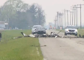 Four Killed in Illinois Plane Crash, Investigation Underway - WICS via ABC News Photo