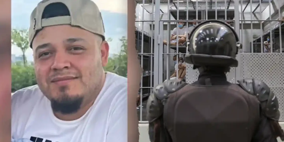 Man Deported by Trump Administration Tied to Gang and Domestic Violence - Alex Peña/Getty Images/Fox News