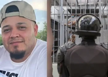 Man Deported by Trump Administration Tied to Gang and Domestic Violence - Alex Peña/Getty Images/Fox News