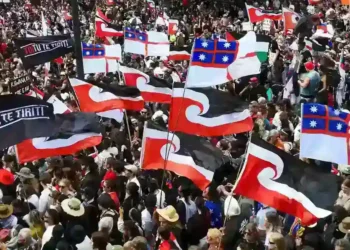 Celebration in Parliament as Māori Rights Bill is Crushed - Charlotte Graham-McLay/AP via CNN