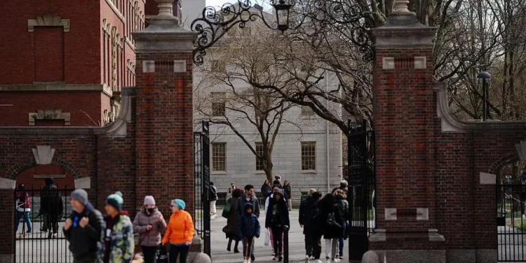 Harvard vs. Trump: A Showdown Over Antisemitism and Academic Freedom - Getty Images via CNN