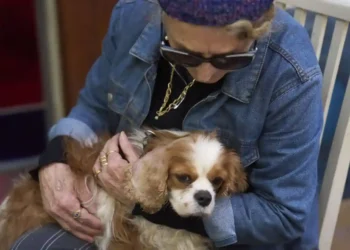 Israeli Woman Reunited with Lost Dog Found in Gaza - Ariel Schalit/AP Photo