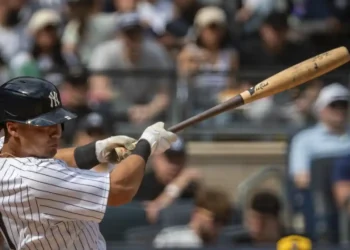 Victus Sports Ramps Up Production of Popular Torpedo Bat - Angelina Katsanis/AP Photo