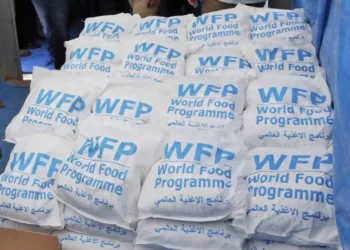 Trump's Cuts to Food Aid Threaten Lives in Syria, Yemen, and Beyond - Burhan Ozbilici/Pool/AP Photo