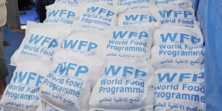 Trump's Cuts to Food Aid Threaten Lives in Syria, Yemen, and Beyond - Burhan Ozbilici/Pool/AP Photo