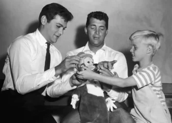 TV Icon Jay North, Known for Dennis the Menace, Dies at 73 - image credit via AP Photo, File