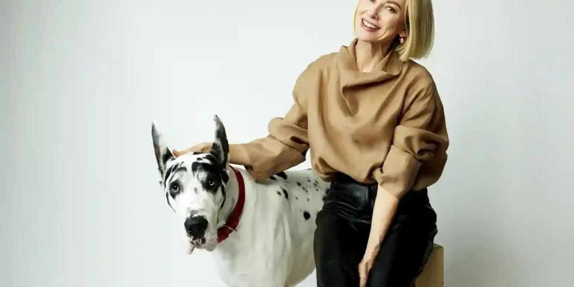 From Book to Screen: Bing the Great Dane Takes Center Stage in The Friend - Taylor Jewell/Invasion/AP Photo