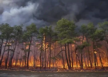 Pine Barrens Wildfire Grows as Teen Faces Arson Charges - New Jersey Department of Environmental Protection via AP