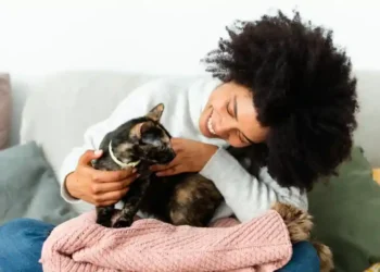 New Study Shows Pets Improve Wellbeing as Much as Family - Kala Studio/Moment RF/Getty Images