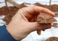 Unexpected Neanderthal-Style Tools Found in Southwest China - Qi-Jun Ruan/Hao Li via CNN