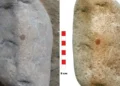 Red Dot on Rock Reveals Stunning Neanderthal Discovery - Álvarez-Alonso, D., de Andrés-Herrero, M., Díez-Herrero, A. et al./Springer Nature