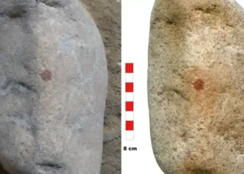 Red Dot on Rock Reveals Stunning Neanderthal Discovery - Álvarez-Alonso, D., de Andrés-Herrero, M., Díez-Herrero, A. et al./Springer Nature