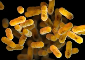 US Sees Spike in Whooping Cough—Here’s How to Stay Safe - Meredith Newlove/CDC