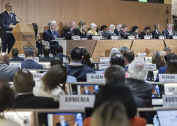 WHO Calls $2.1 Billion Budget Modest Compared to War Costs - Magali Girardin/Keystone via AP